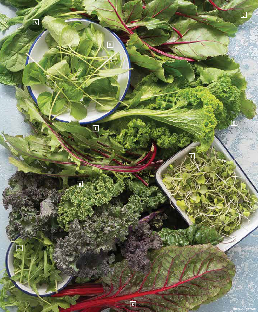 Guide to fresh leafy greens