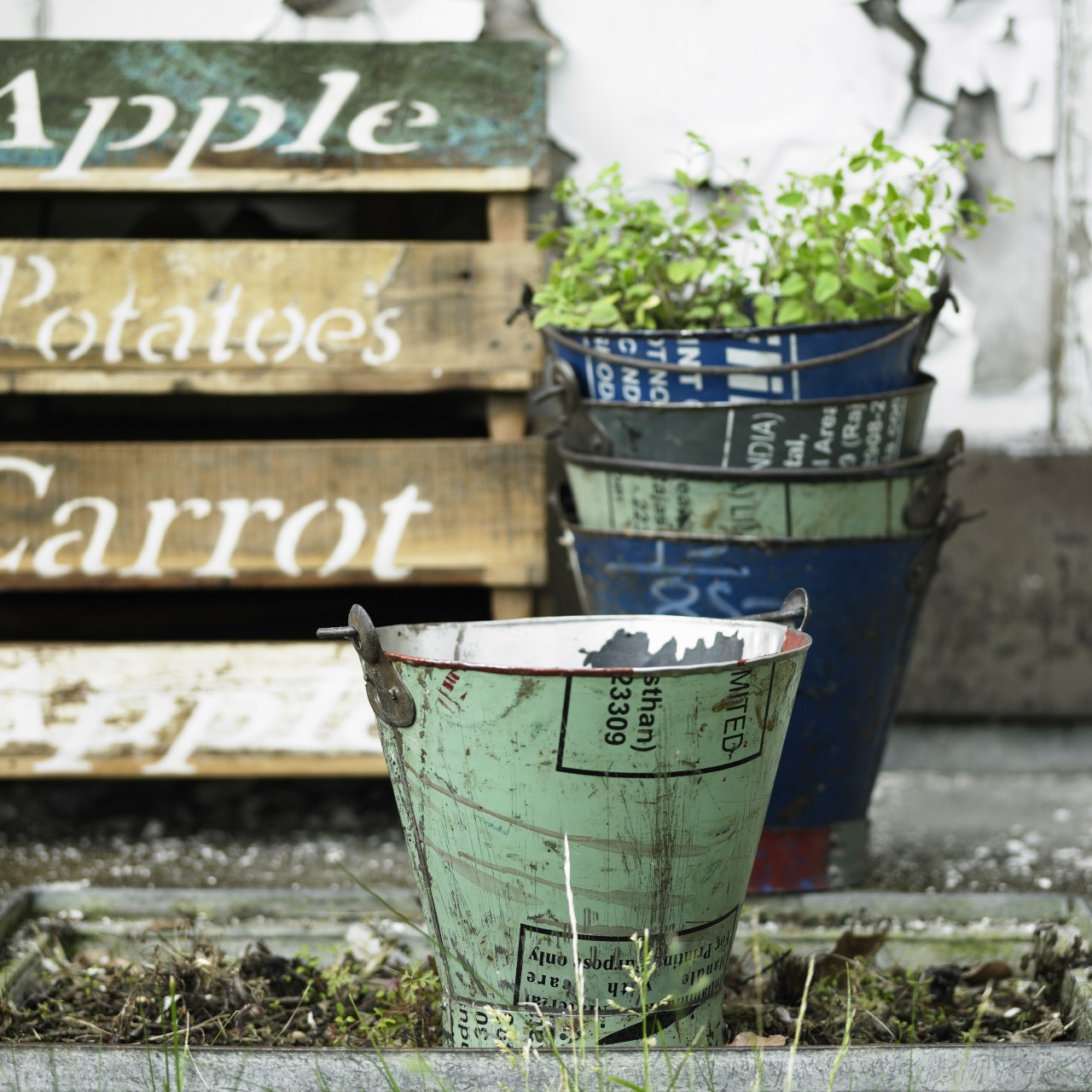 Decorative pots for planting