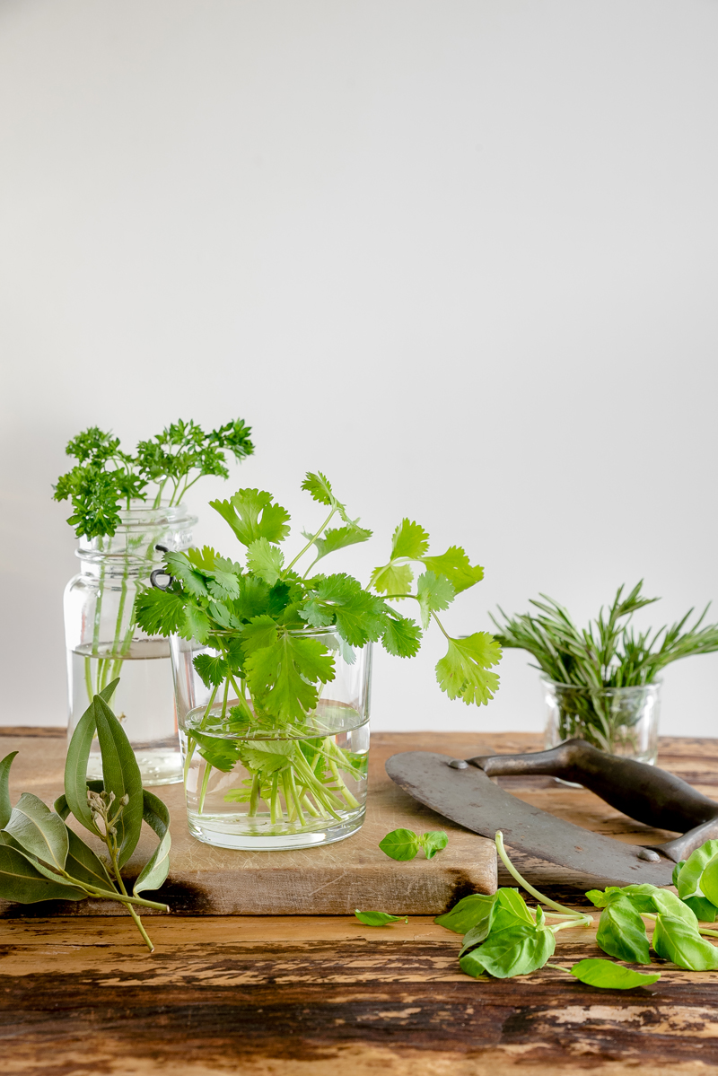 Fresh herbs on table