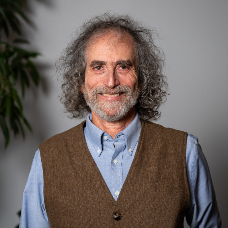 Steve Share Director